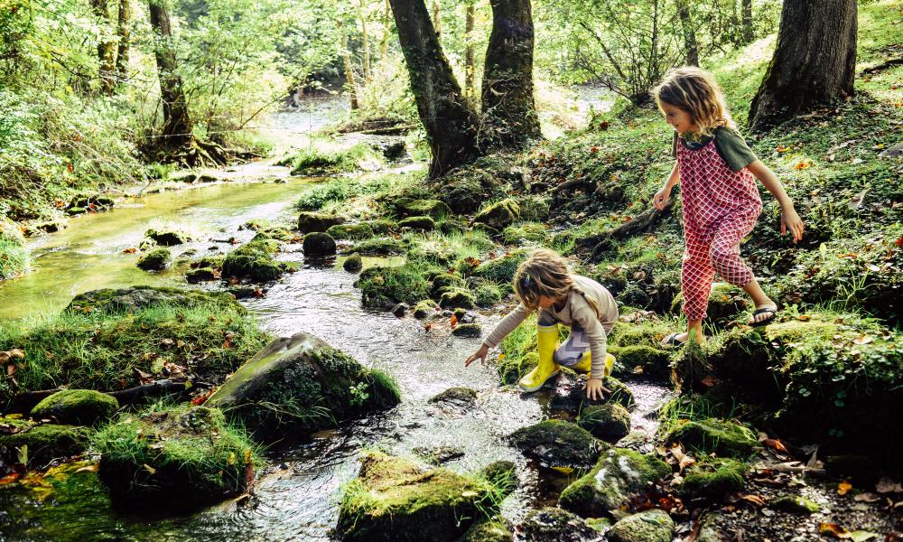 Children play in a stream