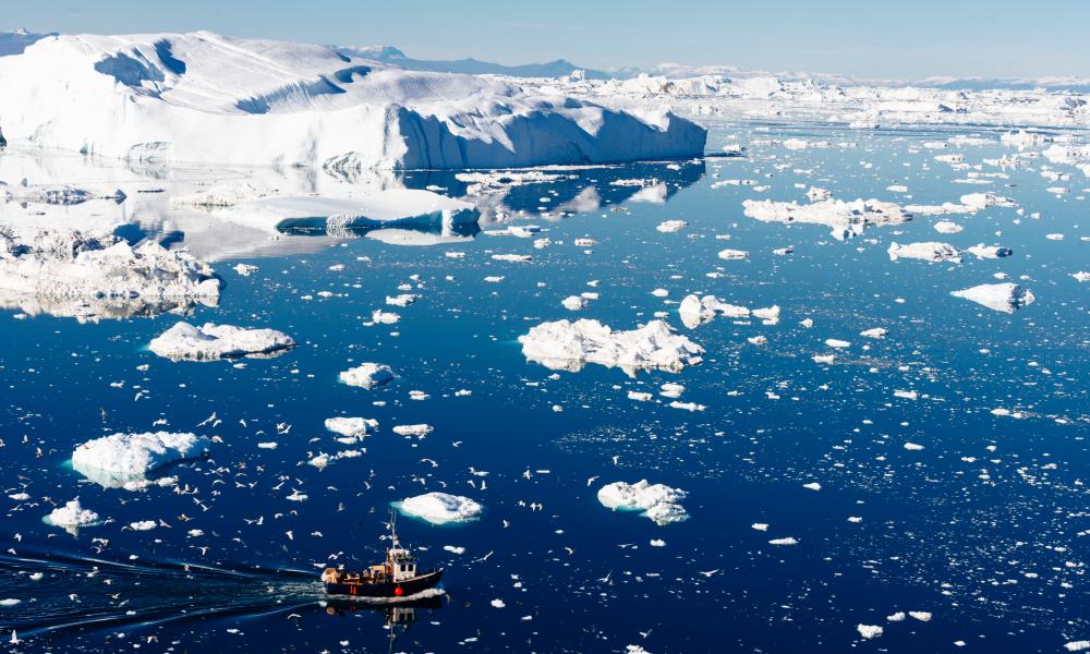 Fishing vessel attracts seabirds against a background of icebergs