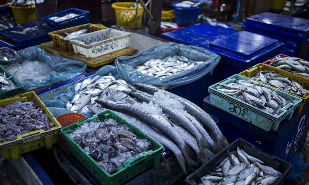 Raw fish selling in the market Dawei township, Tanintharyi division, Myanmar.