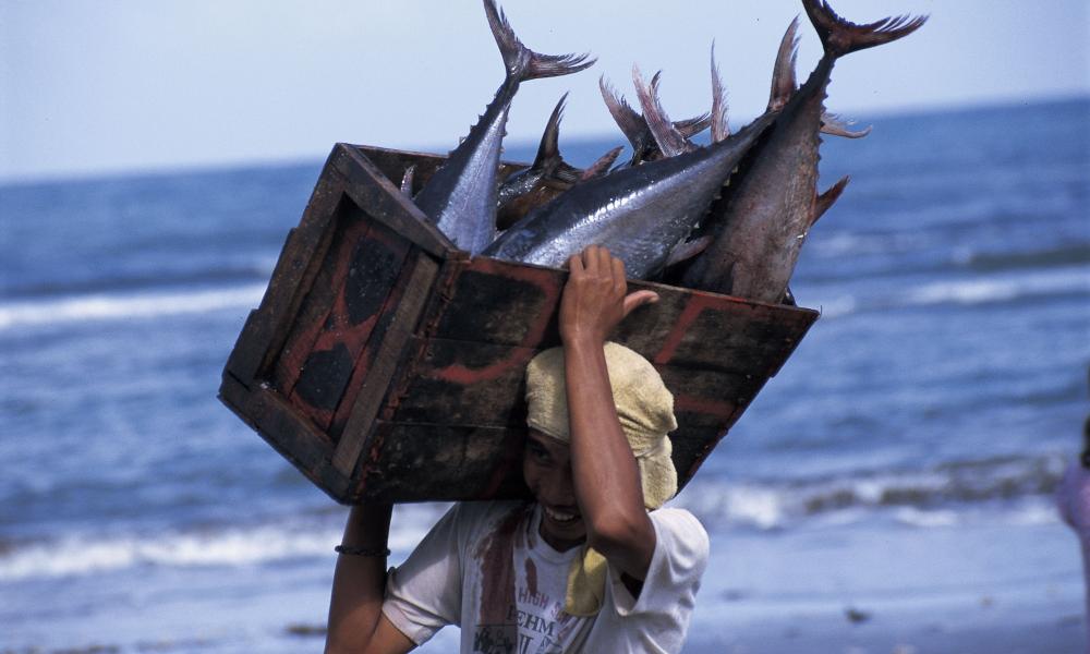 Fisherman with tuna catch. Philippines