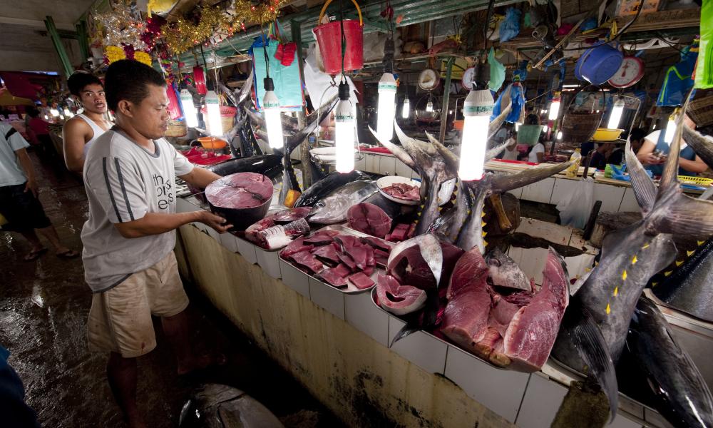 Palawan fish market selling tuna. Puerto Princesa, Palawan, Philippines. 9 April 2009