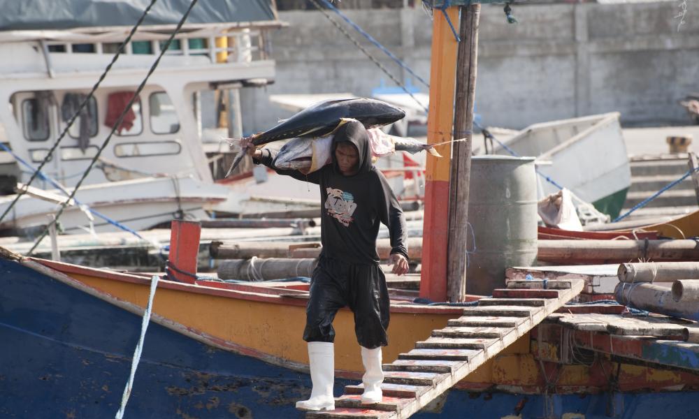 Stevedores unload tuna from a fishing vessel