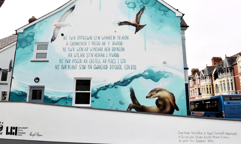 Cardigan mural