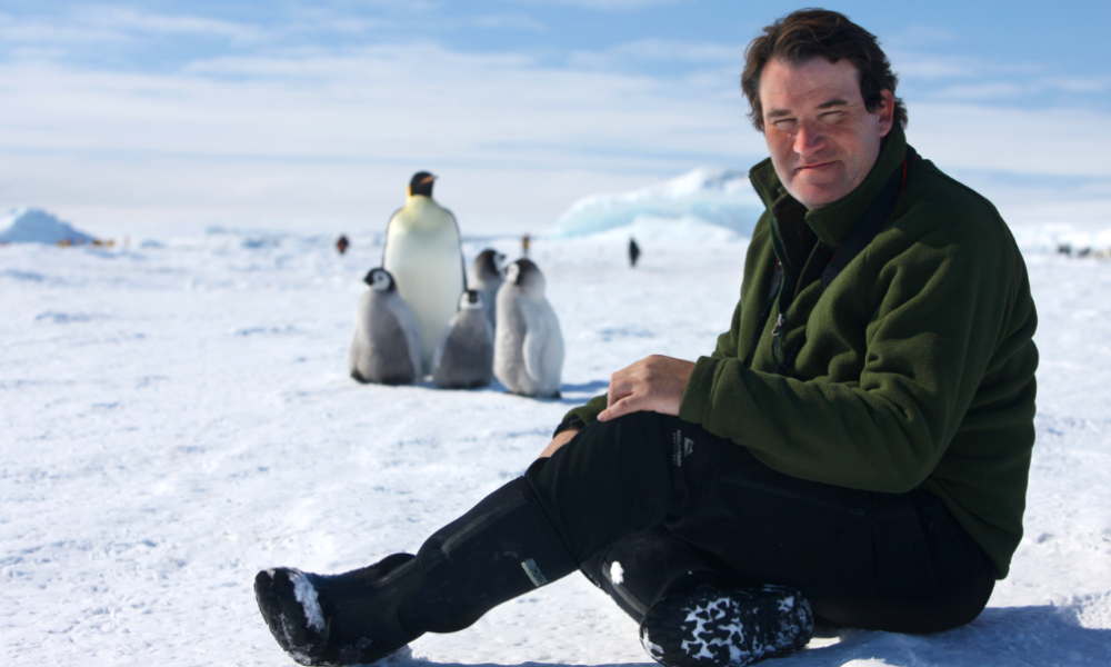 Alastair Fothergill with penguins.