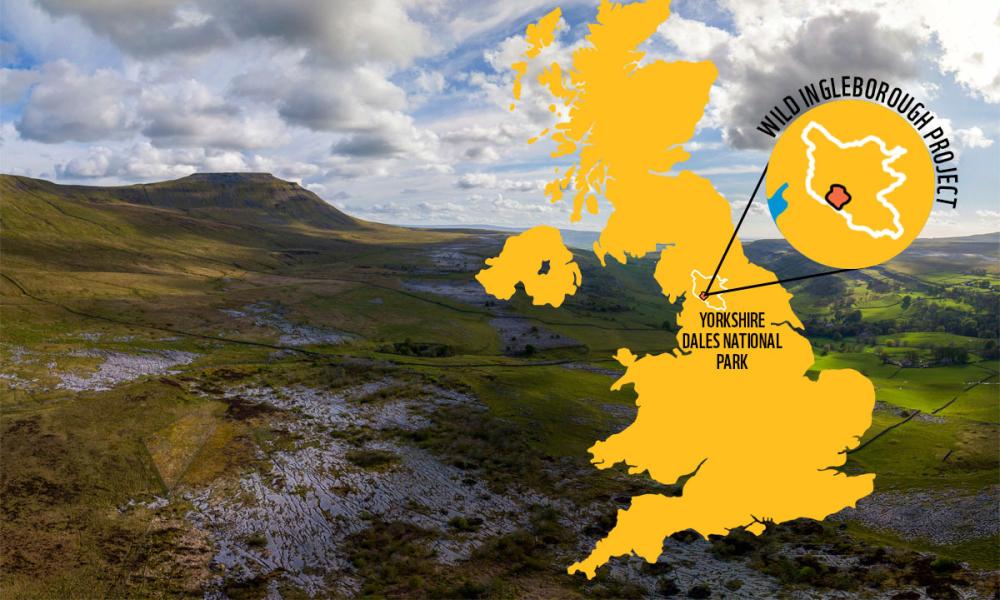 Wild Ingleborough Map