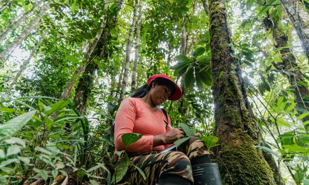 Chela Elena Umir, from the La Chorrera indigenous community and member of the Ecosystem Services Assessment (ESA) Technical Team, makes notes, as the team conducts an ecosystem service assessment of the forest surrounding La Chorrera, Predio Putumayo Indigenous Reserve, Department of Amazonas, Colombia.