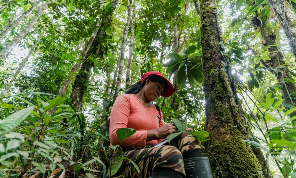 Chela Elena Umir, from the La Chorrera indigenous community and member of the Ecosystem Services Assessment  (ESA) Technical Team, makes notes, as the team conducts an ecosystem service assessment of the forest surrounding La Chorrera, Predio Putumayo Indigenous Reserve, Department of Amazonas, Colombia.