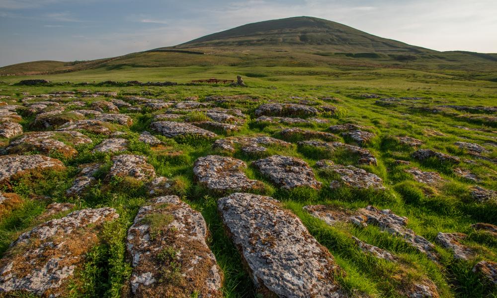 Exposed limestone pavement on the lower slopes of Ingleborough mountain in the Wild Ingleborough project site.