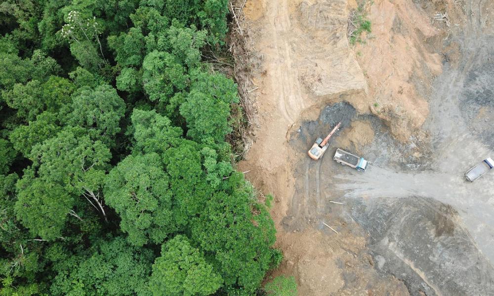 Deforestation aerial photo. Rainforest jungle in Borneo, Malaysia, destroyed to make way for oil palm plantations. 