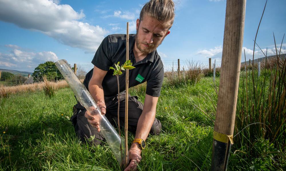 Natural England employee Frank Morgan is planting trees to create a new native woodland on the Wild Ingleborough site. 