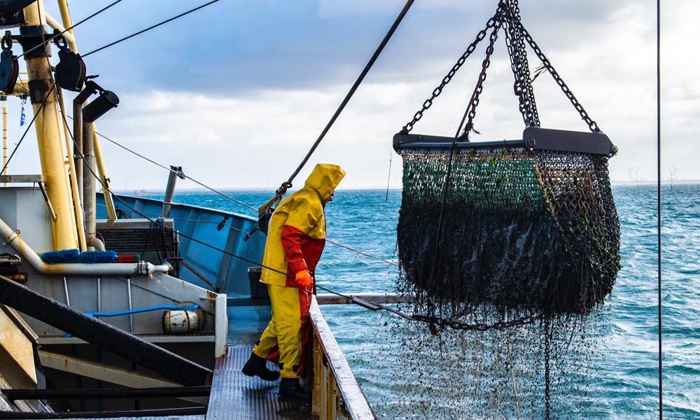 Fishing for mussels