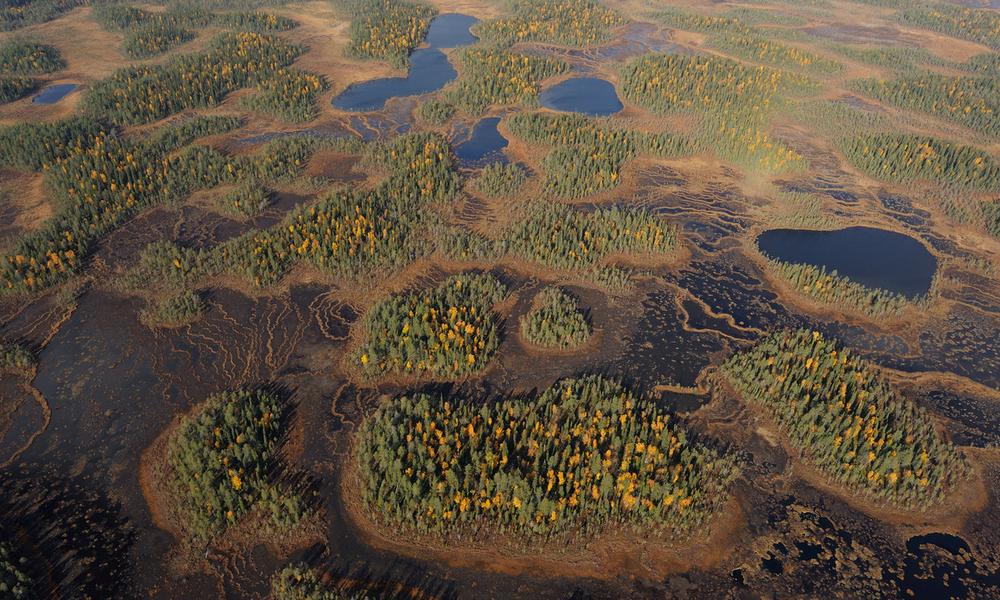 Aerial view of Peat bog, Oulanka National Park, Finland,