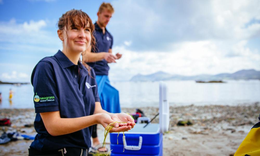 Seagrass volunteers