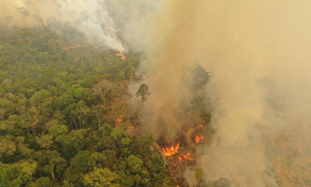 Amazon fires in Brazil