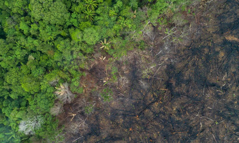 Aerial view of deforestation of the Amazon rainforest