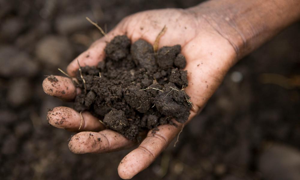 Soil in Kasese, Rwenzori Mountains, Uganda. 