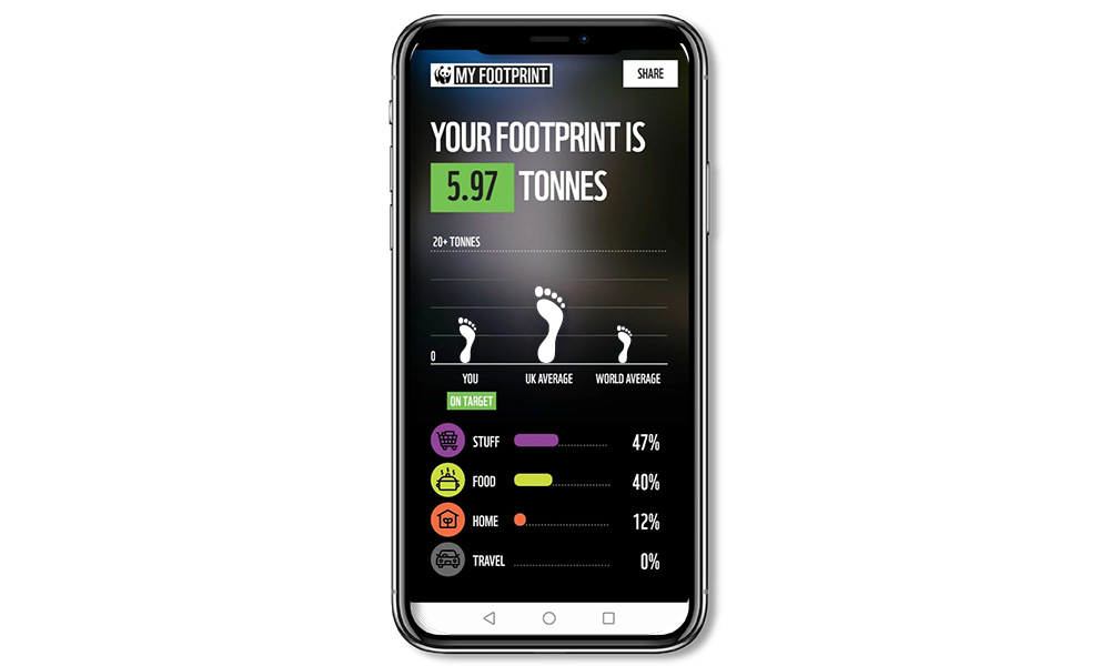 Results screen shot