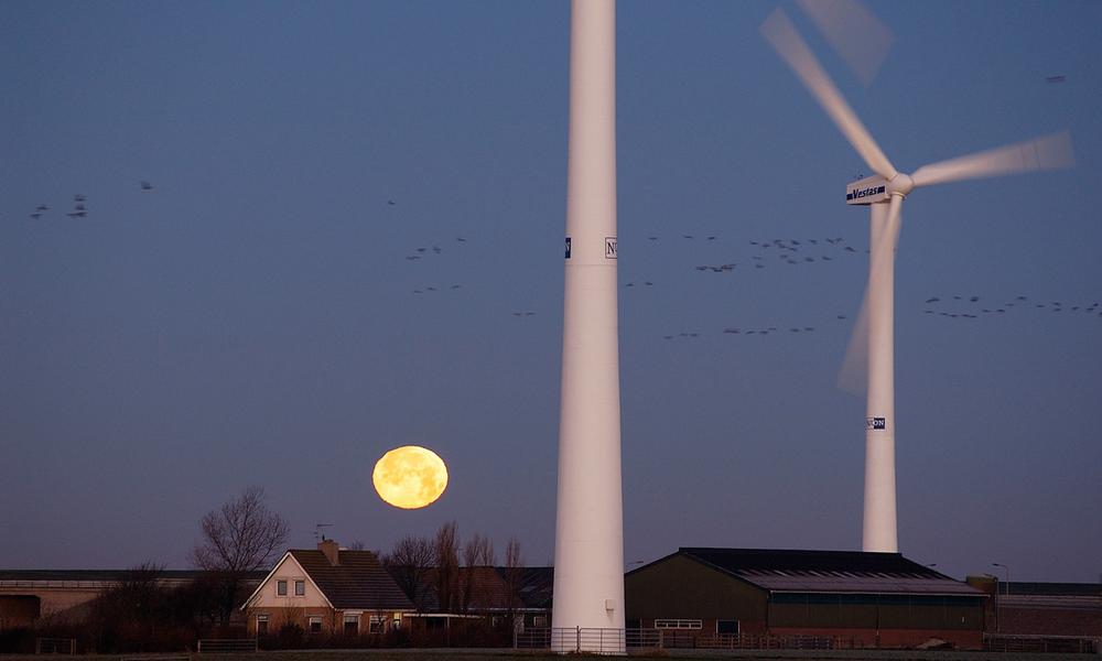 Windturbines and flock of geese during a full moon night. 