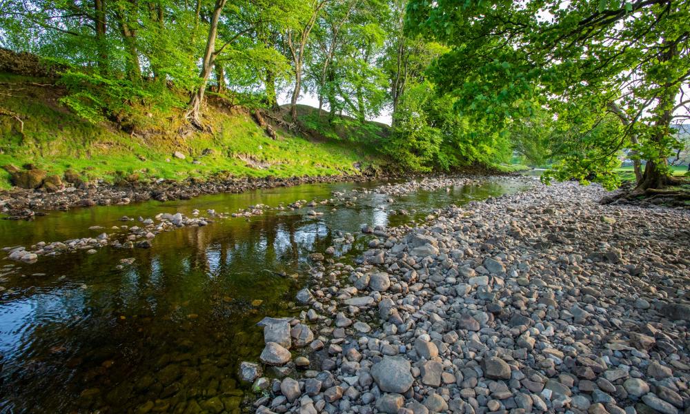 River Ribble, outside of Wild Ingleborough site.