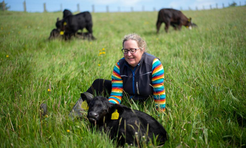 Farmer Heather Close strokes an Aberdeen Angus calf on the regenerative farm at Balsar Glen Farm