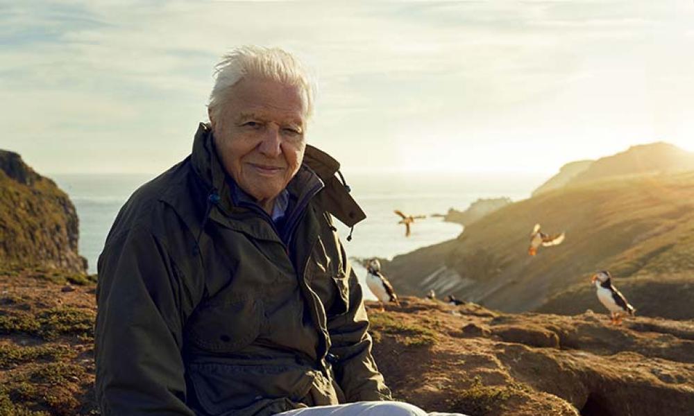 David Attenborough
