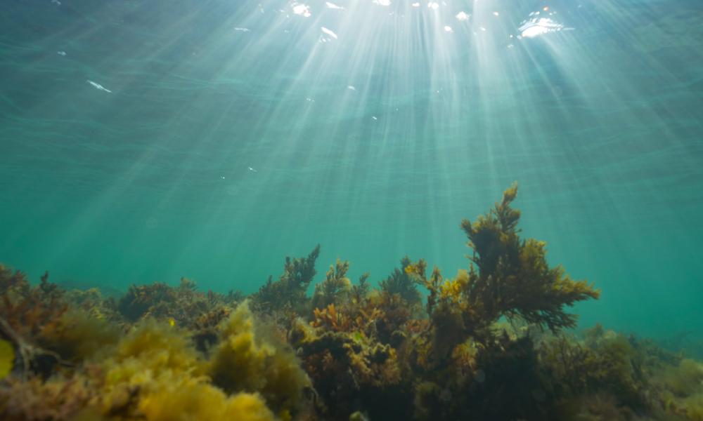 Sun rays through a shallow reef off the coast of Wales