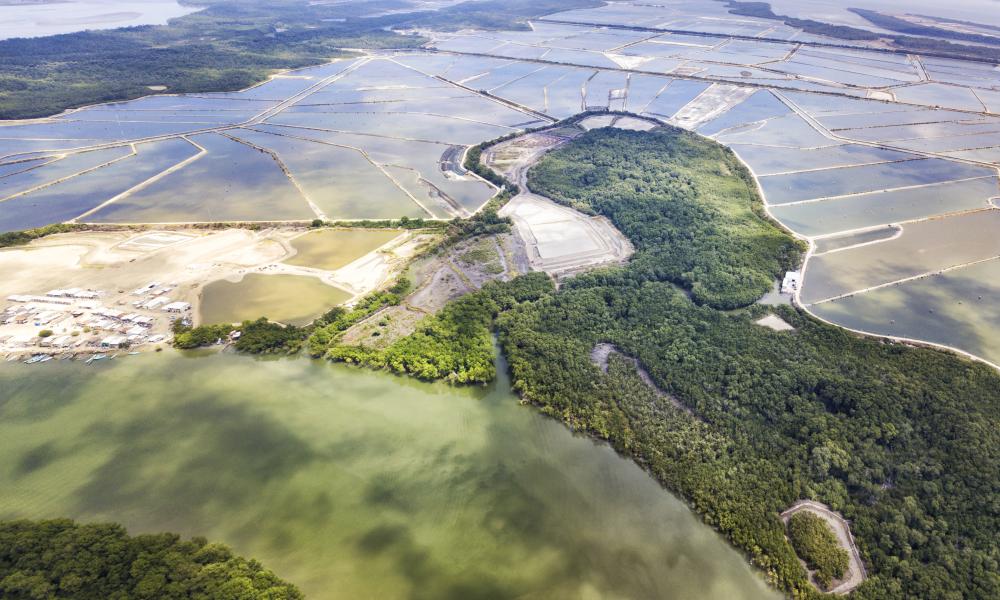 Aerial view of mangrove and shrimp farms in Ecuador