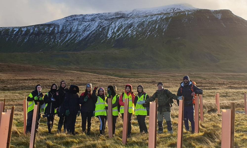 Wild Ingleborough group in field