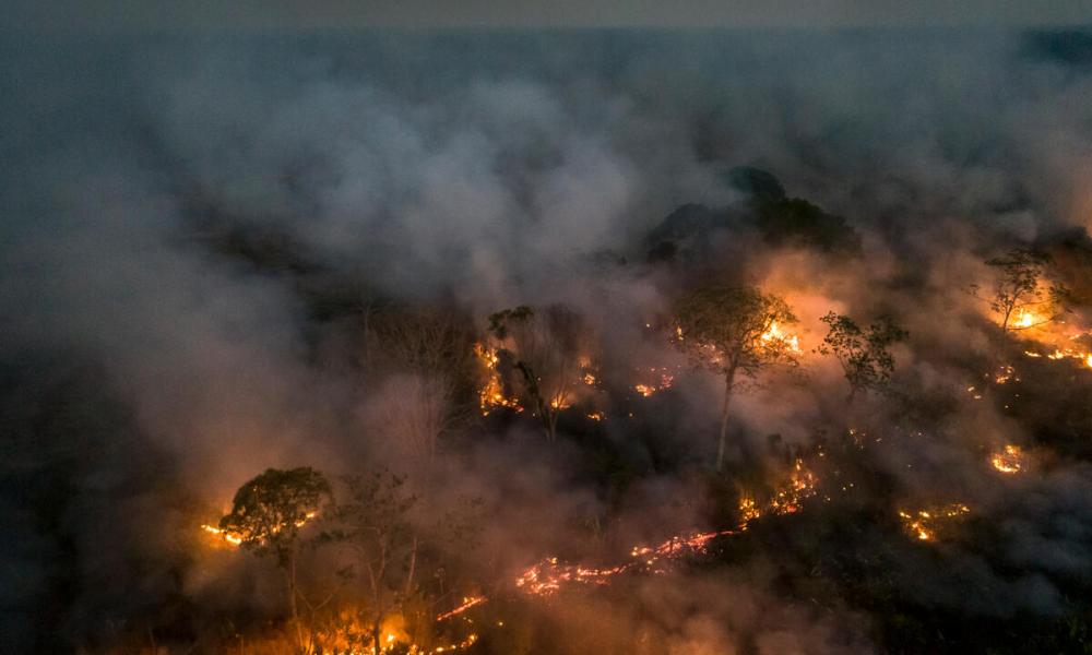 Amazon Rainforest deforestation and fire