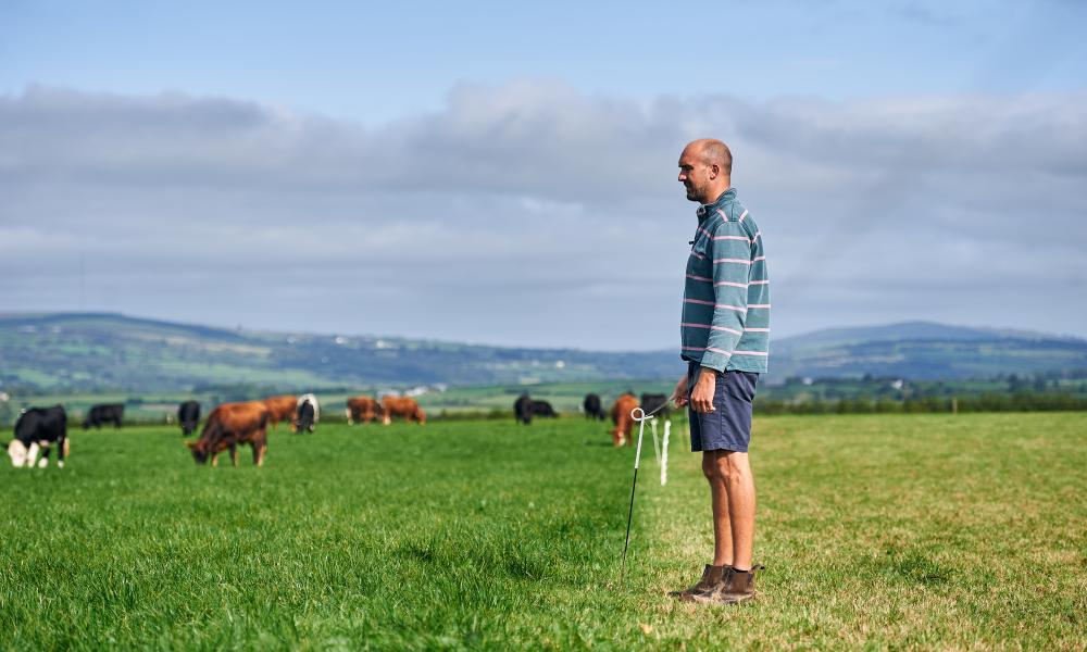Aled, a farmer in Carmarthenshire, standing with his herd.