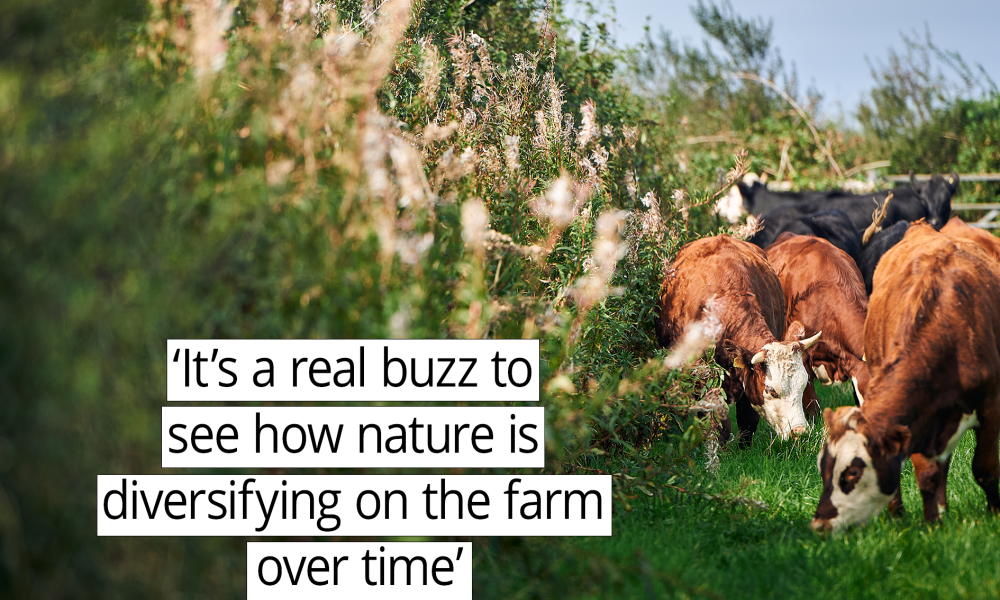 t’s a real buzz to see how nature is diversifying on the farm over time.