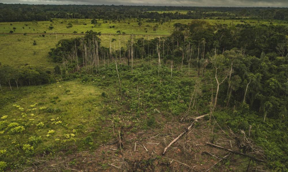 Aerial view of Amazon deforestation, municipality of Calamar, Guaviare Department, Colombia.