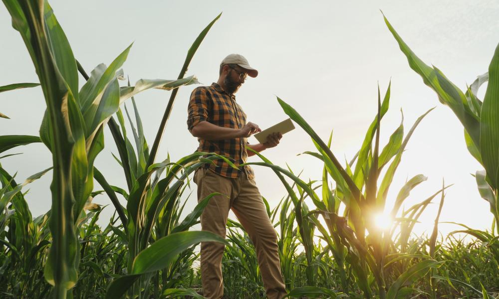 Conservation work on farms