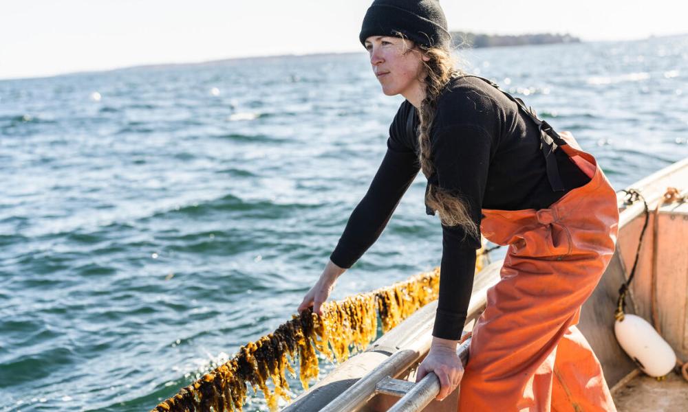 Seaweed farmer