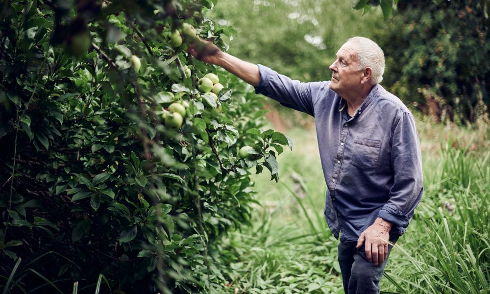 Elfyn Davies picking apples from the orchard.