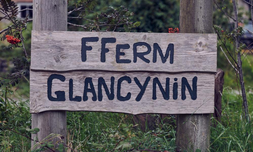 The wooden farm sign at Fferm Glancynin
