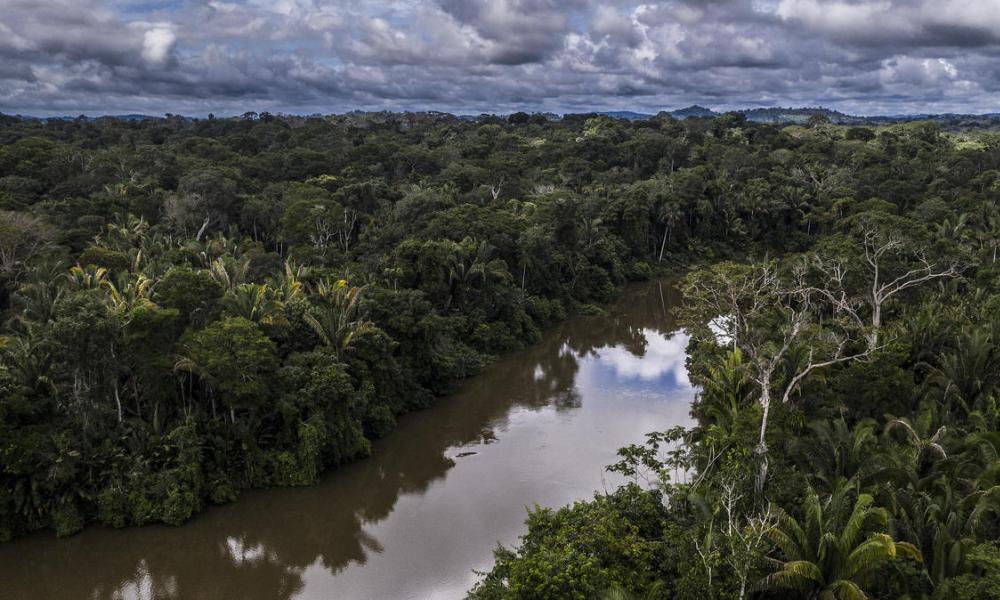 Jamari Rivers How you helped make a difference in 2022 | WWF