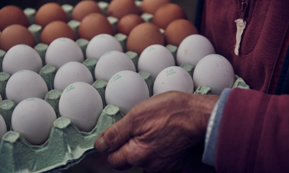 A tray of brown and white eggs from hens at Nantclyd farm.