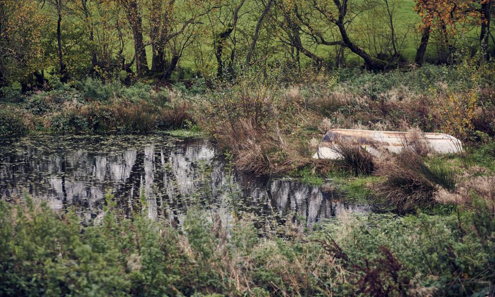The pond at Nantclyd farm, surrounded by trees and reeds.