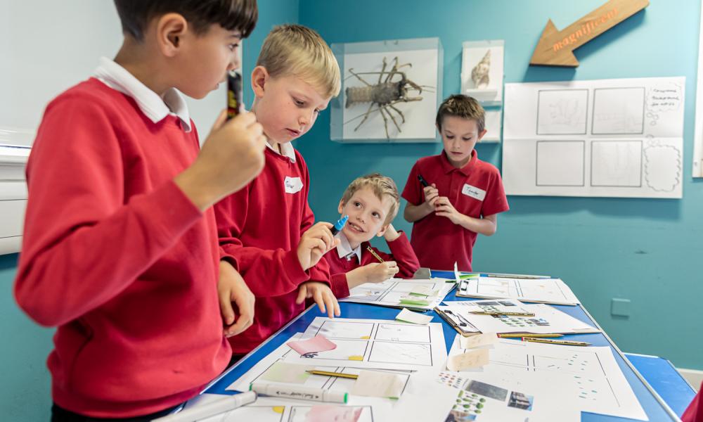A school workshop pilot run by Derby Museum and Art Gallery as part of The Wild Escape