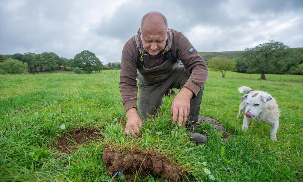 Farmer Inspecting Soil