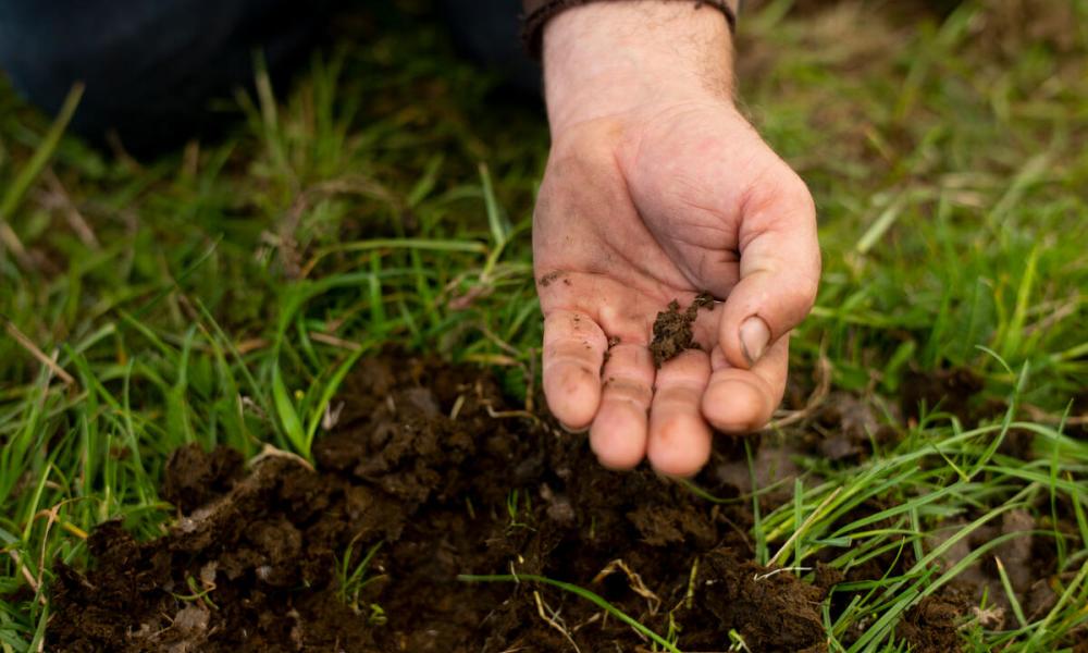 Soil