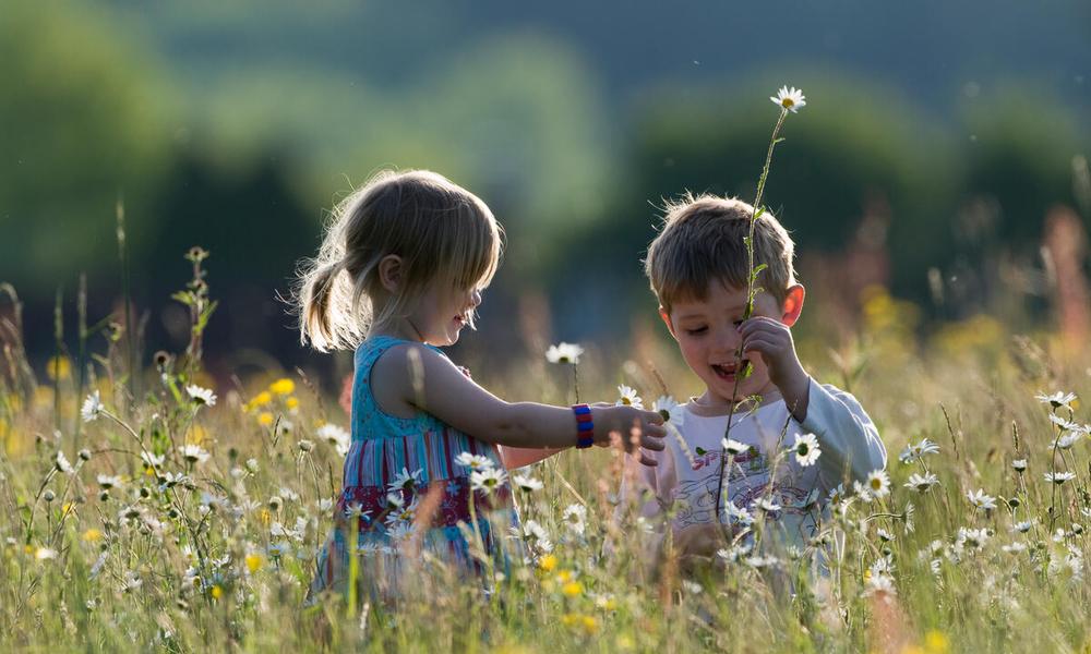 Young children, a boy and girl, playing in hay meadow