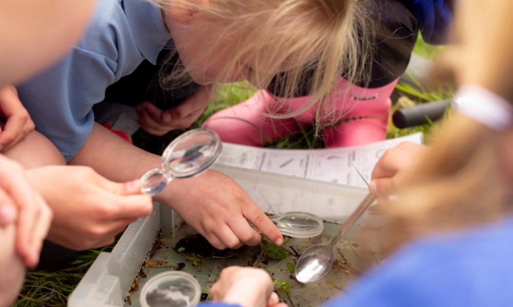 Pupils from Langham Village School visit Langham Wetlands in Norfolk. This brand-new wetland has been constructed by Finish and WWF as part of a mission to replenish 500 million litres of freshwater in the UK to help support precious habitats and species.