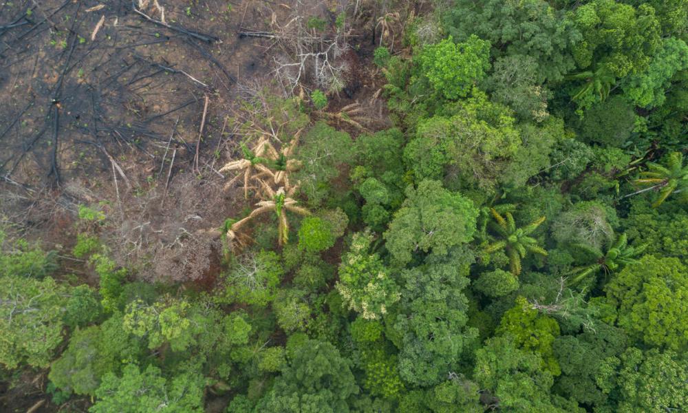 Aerial view of deforestation of the Amazon rainforest, in Maués, on december 11, 2020
