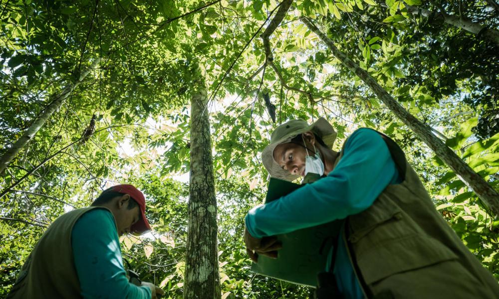 A group of local community leaders and 'environmental promoters' conduct an environmental survey of the forest on the farm of Marco Aurelio Zapata, who has committed to protect the remaining forest on his property for conservation purposes. (Left to right: Tito Tiverio Roldan, Giovani Bermudez).