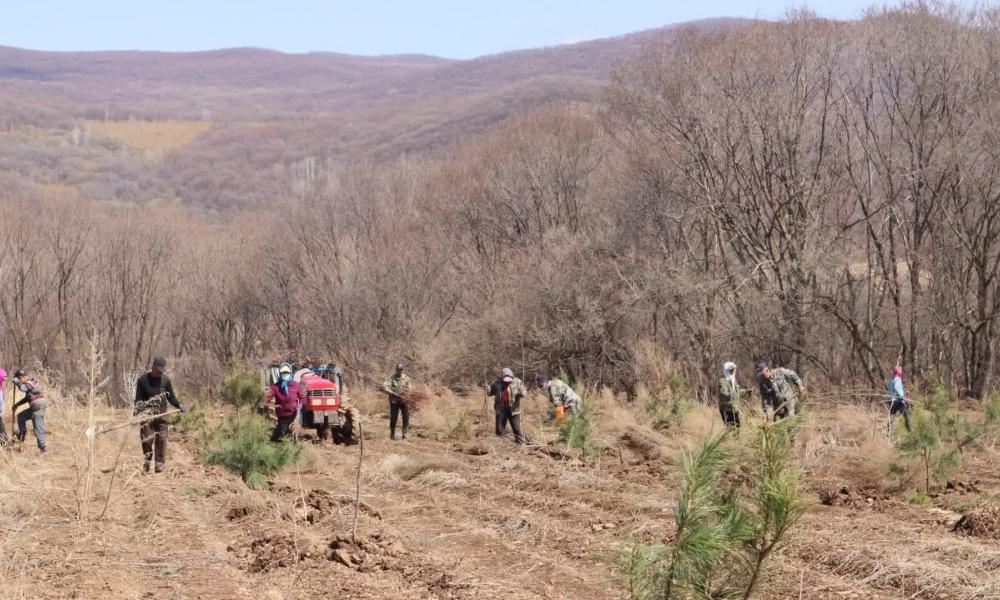 A group of people working on Dongning Forest Restoration