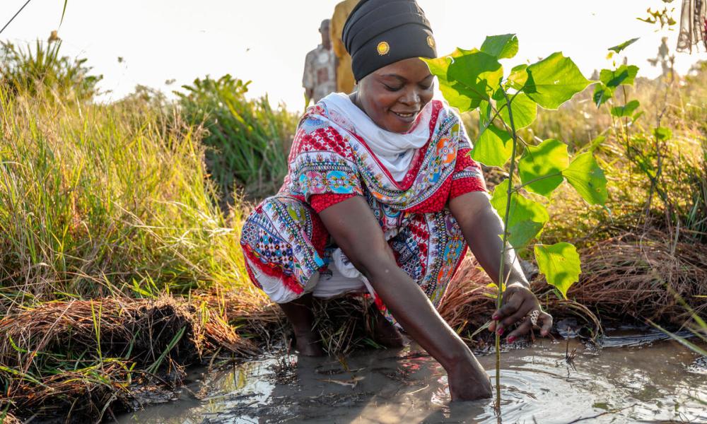 Community members participate in tree planting exercises in Kazimzumbwi Forest Reserve, Tanzania.