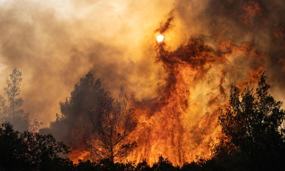 A wildfire burns trees in Agia Sotira, a western suburb of Athens, Greece, on July 20, 2023.