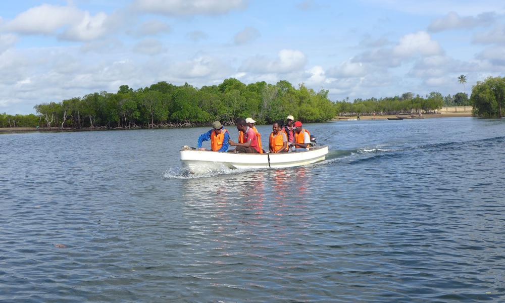 Vlinder team mangrove forest monitoring in Kenya. 